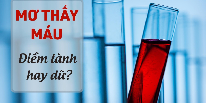 Mơ thấy người khác chảy máu