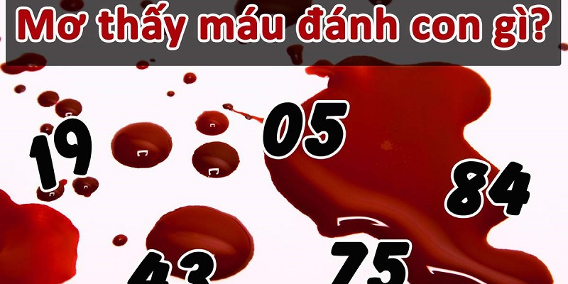 Mơ thấy máu gắn liền với con số may mắn nào
