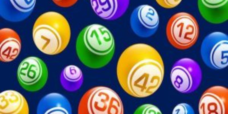 Dàn 3 càng nuôi tuần theo lô rơi