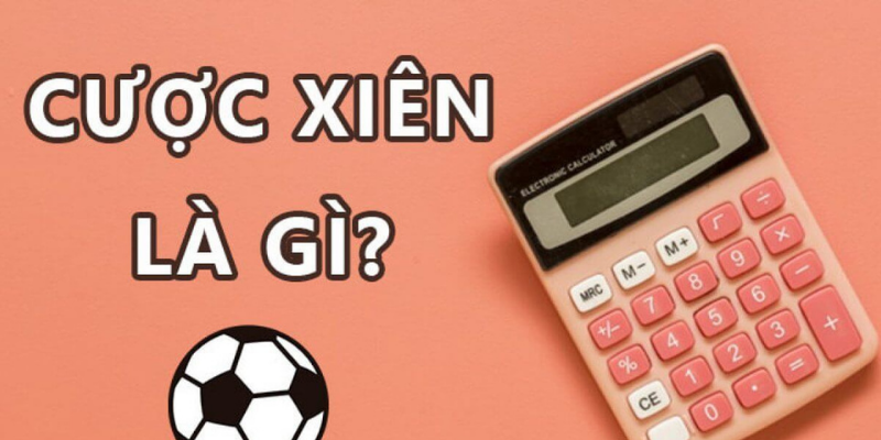 Cược xiên là gì? Các loại cược phổ biến