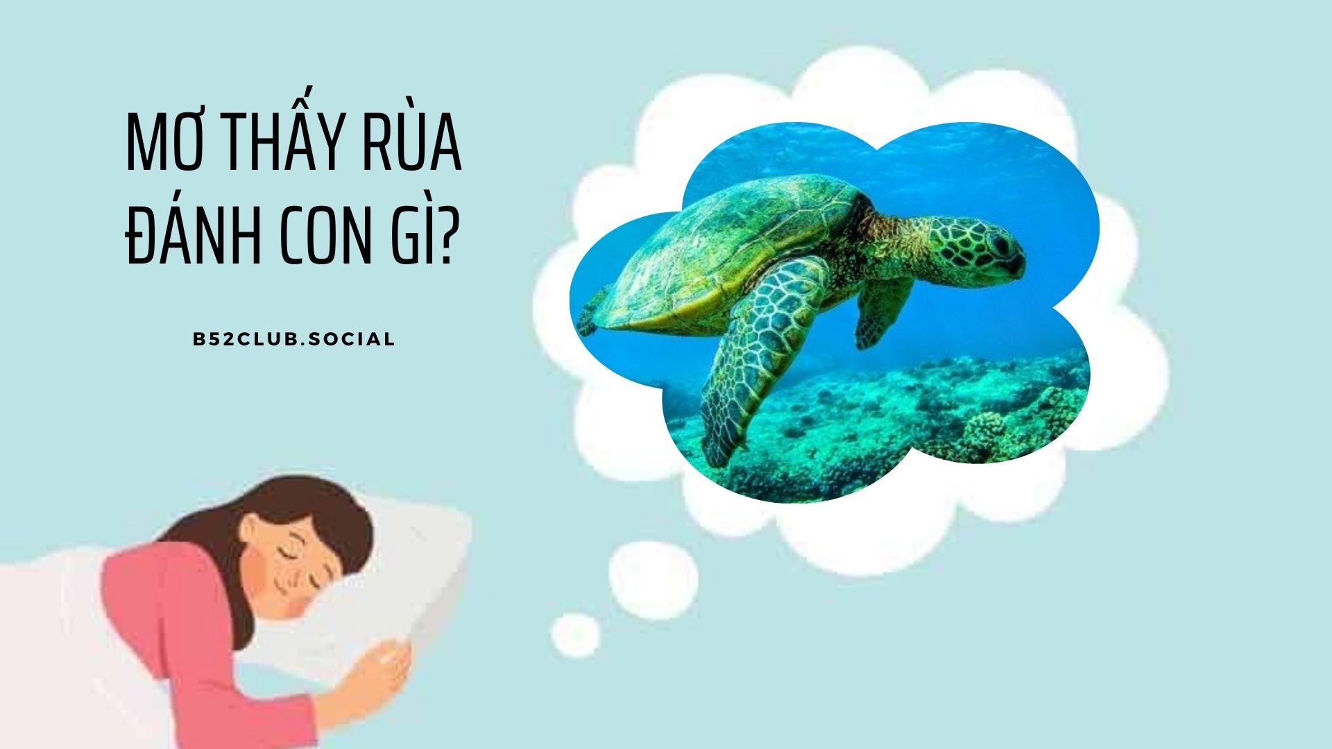 Giải mã điềm báo giấc mơ thấy rùa